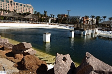 Schlitterbahn Galveston