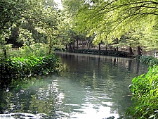 Schlitterbahn West