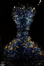 Chihuly Garden and Glass