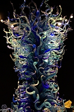 Chihuly Garden and Glass