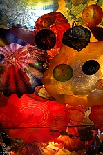 Chihuly Garden and Glass