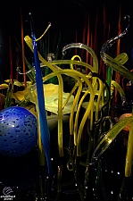 Chihuly Garden and Glass