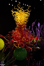 Chihuly Garden and Glass