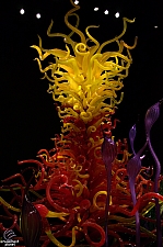 Chihuly Garden and Glass