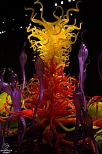 Chihuly Garden and Glass