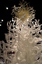 Chihuly Garden and Glass