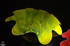 Chihuly Garden and Glass