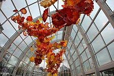 Chihuly Garden and Glass