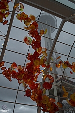 Chihuly Garden and Glass