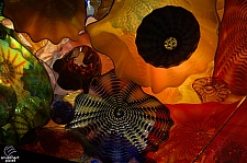 Chihuly Garden and Glass