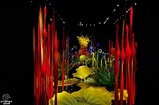 Chihuly Garden and Glass