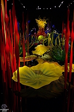 Chihuly Garden and Glass