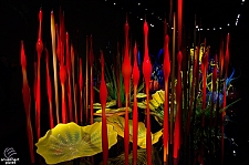 Chihuly Garden and Glass