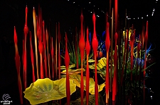 Chihuly Garden and Glass