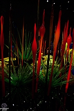 Chihuly Garden and Glass