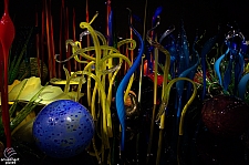 Chihuly Garden and Glass