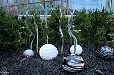 Chihuly Garden and Glass