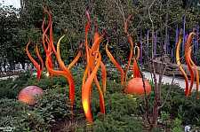 Chihuly Garden and Glass