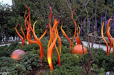 Chihuly Garden and Glass