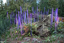 Chihuly Garden and Glass