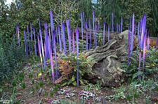 Chihuly Garden and Glass