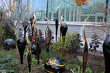 Chihuly Garden and Glass