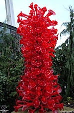 Chihuly Garden and Glass