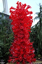 Chihuly Garden and Glass