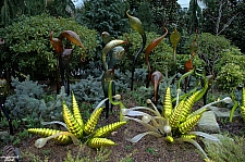 Chihuly Garden and Glass