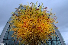 Chihuly Garden and Glass