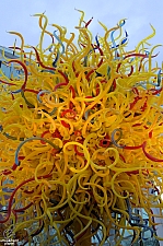 Chihuly Garden and Glass