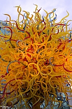 Chihuly Garden and Glass