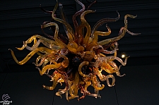 Chihuly Garden and Glass