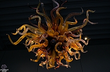 Chihuly Garden and Glass