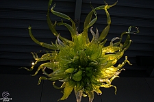 Chihuly Garden and Glass