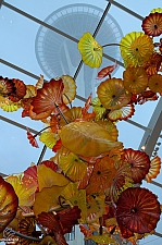 Chihuly Garden and Glass