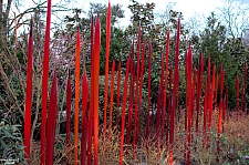 Chihuly Garden and Glass