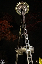 Space Needle