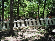 Silver Dollar City