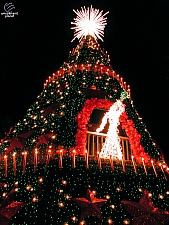 Silver Dollar City