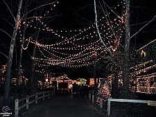 Silver Dollar City