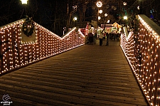 Silver Dollar City