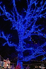 Silver Dollar City