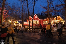 Silver Dollar City