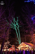 Silver Dollar City