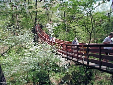 Miller's Bridge