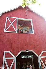 Giant Barn Swing