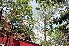 Giant Barn Swing