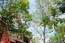 Giant Barn Swing