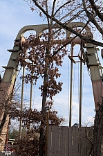 Giant Barn Swing